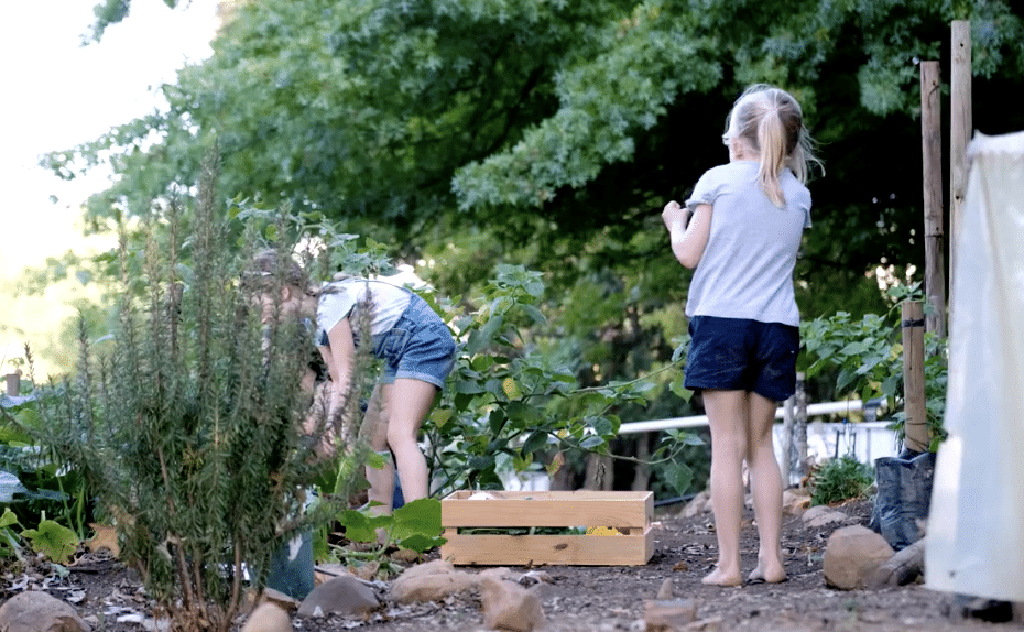 Öffentliche Behörde B6b76b A9c5b0e7a0fa49eb89ddac7c4654485cmv2