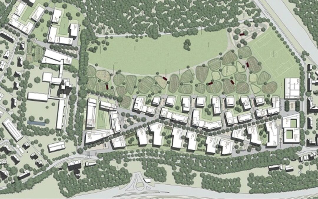 Développement du quartier Viererfeld/Mittelfeld Berne (VFMF)